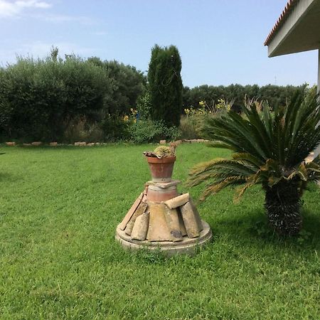 Bed and Breakfast Relais Le Folaghe Ladispoli Esterno foto